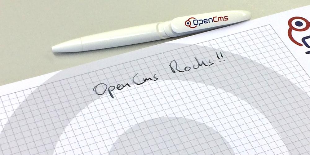 OpenCms 13