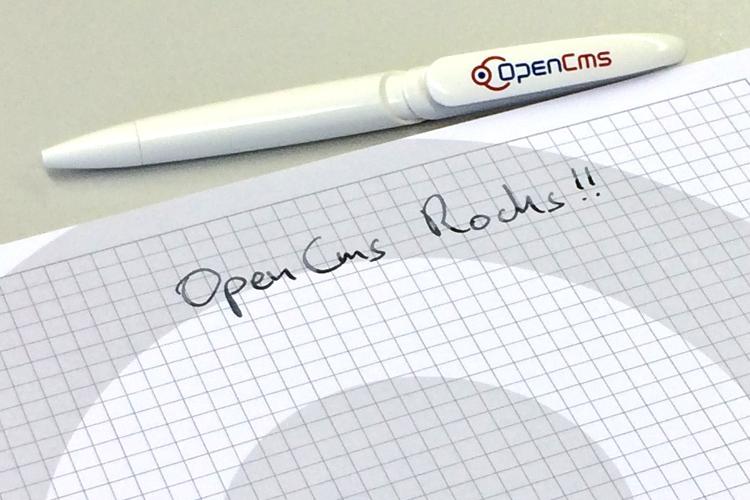 OpenCms 13